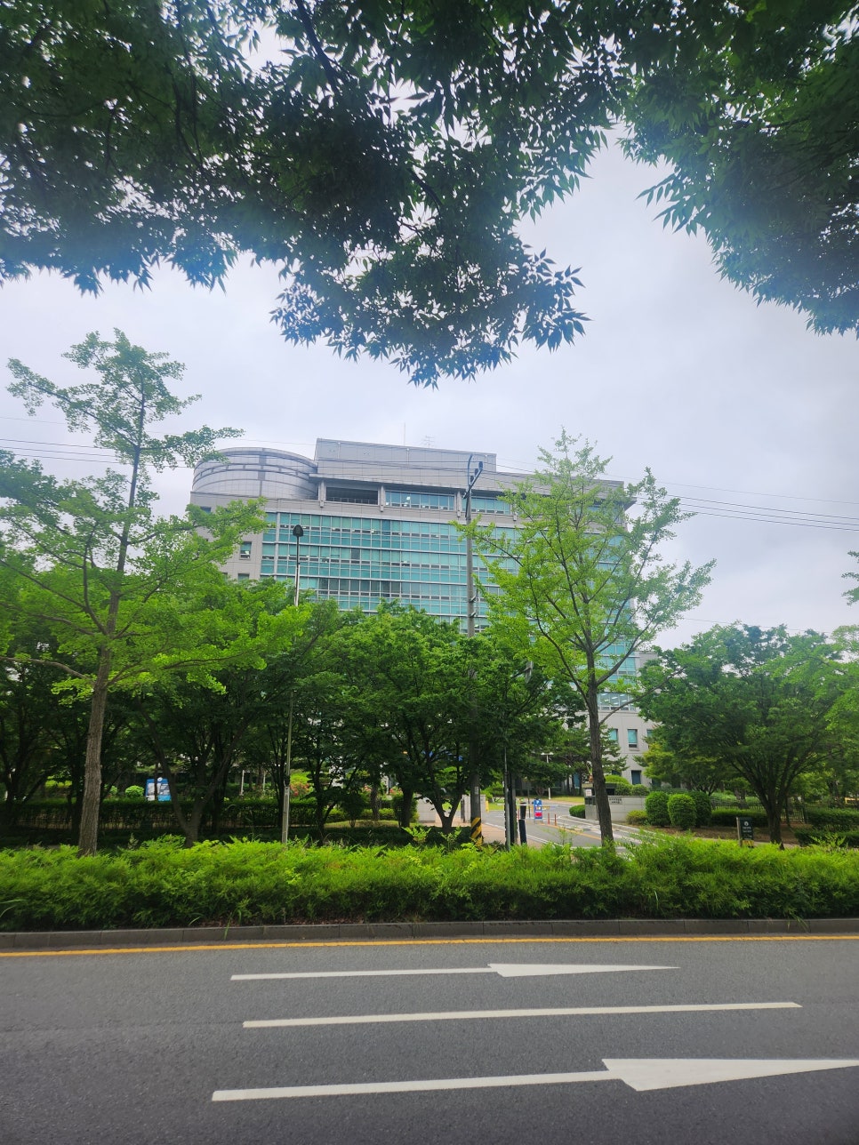 대구가정법원 양육비 변경 등 사건 제1회 심문기일 참석 사례 이미지 1