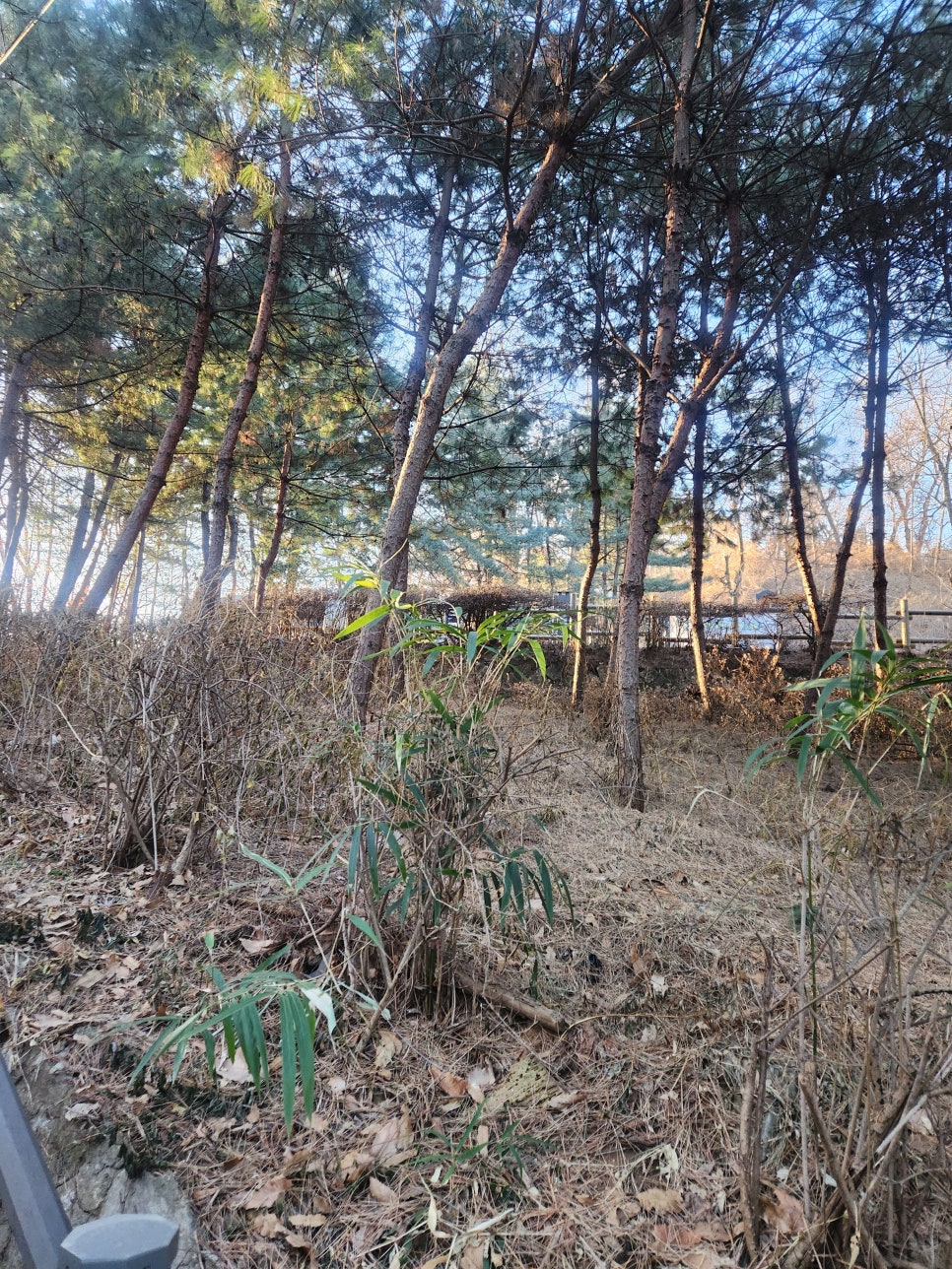 별거 중 양육비, 부양료 청구 관련 법리 검토 이미지 2