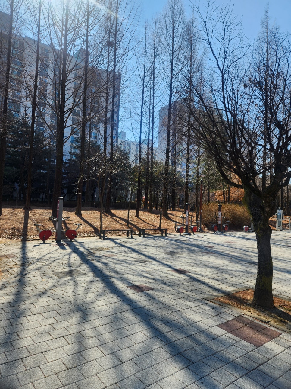 소액 절도를 다수한 경우 가벼운 벌금형이 선고된 판례 소개 이미지 2